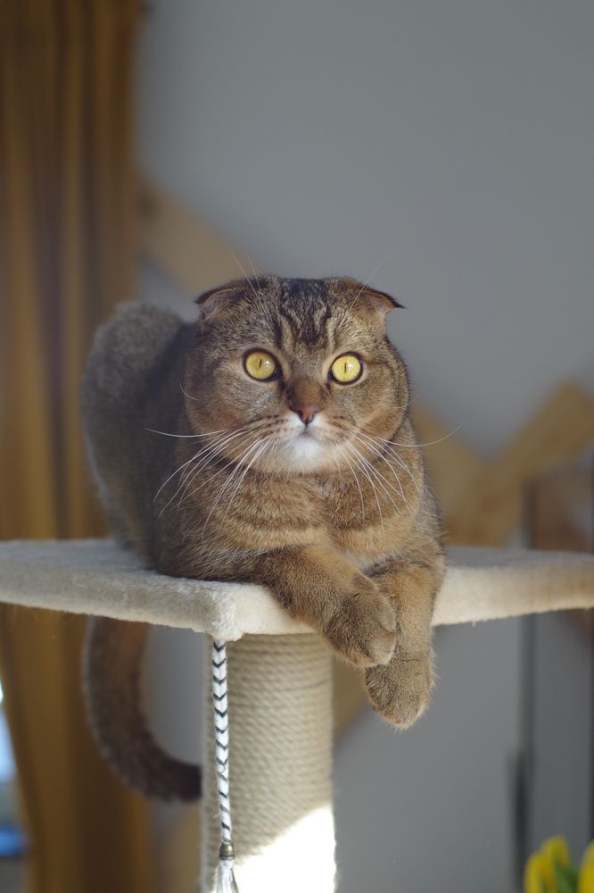 Photograph by Кристина Гончарь