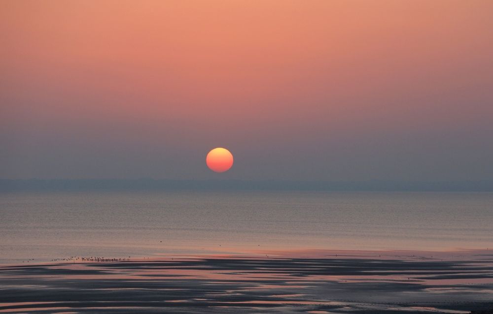 Отраженные друг в друге...