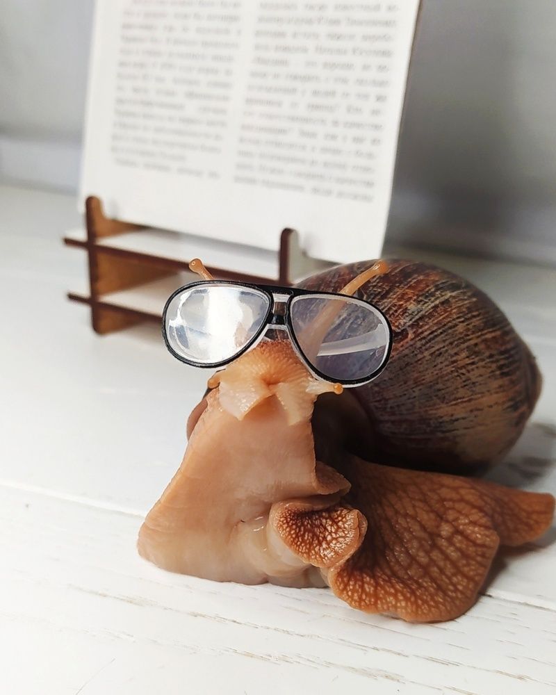 Мои ручные пришельцы.