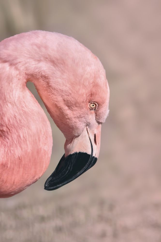 Photograph by Julia Carr