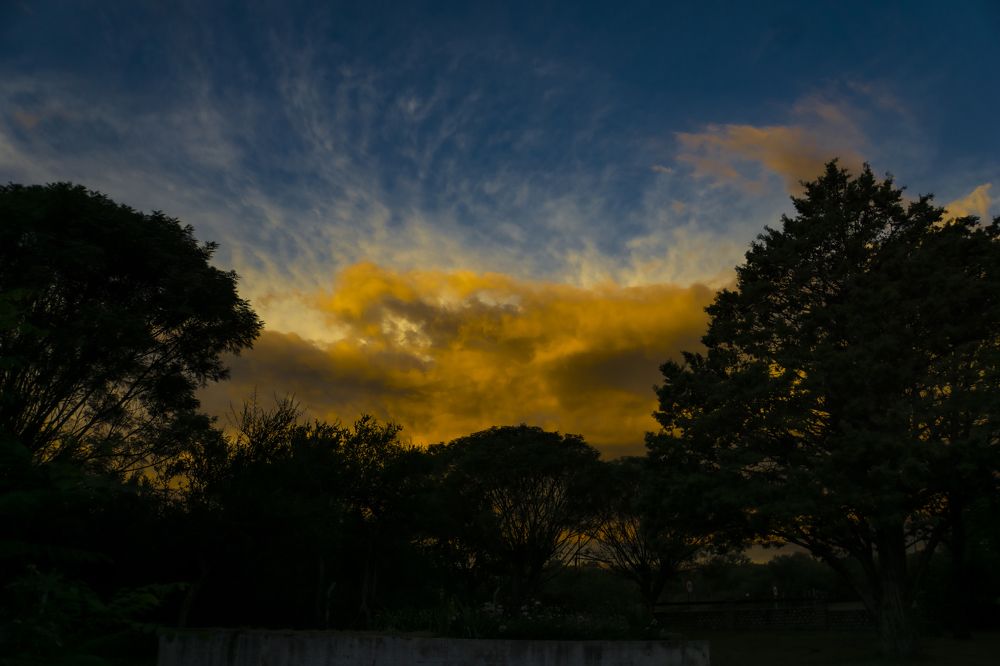 Photograph by Olinda Garcia Favre