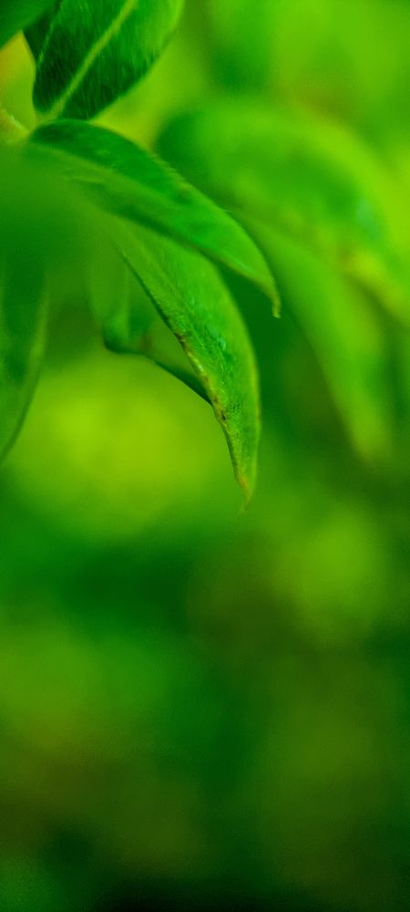 Фотография автора Юлия Вычужанина