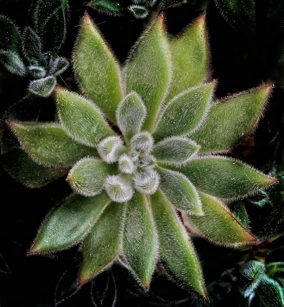 Photograph by Roberto Hagemann