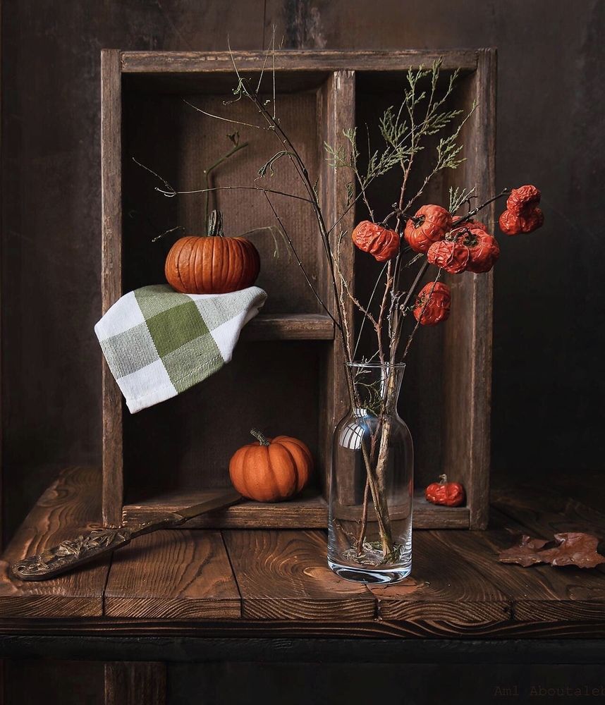 Photograph by Aml Aboutaleb