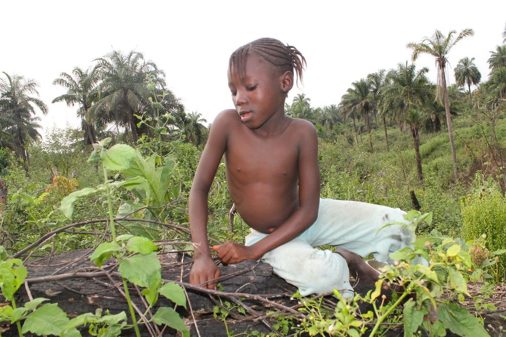 Children in the Village farm Bush