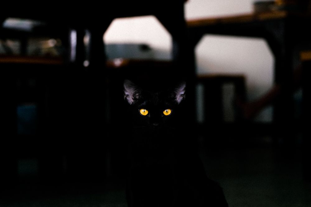 Photograph by Krid Karnsomdee