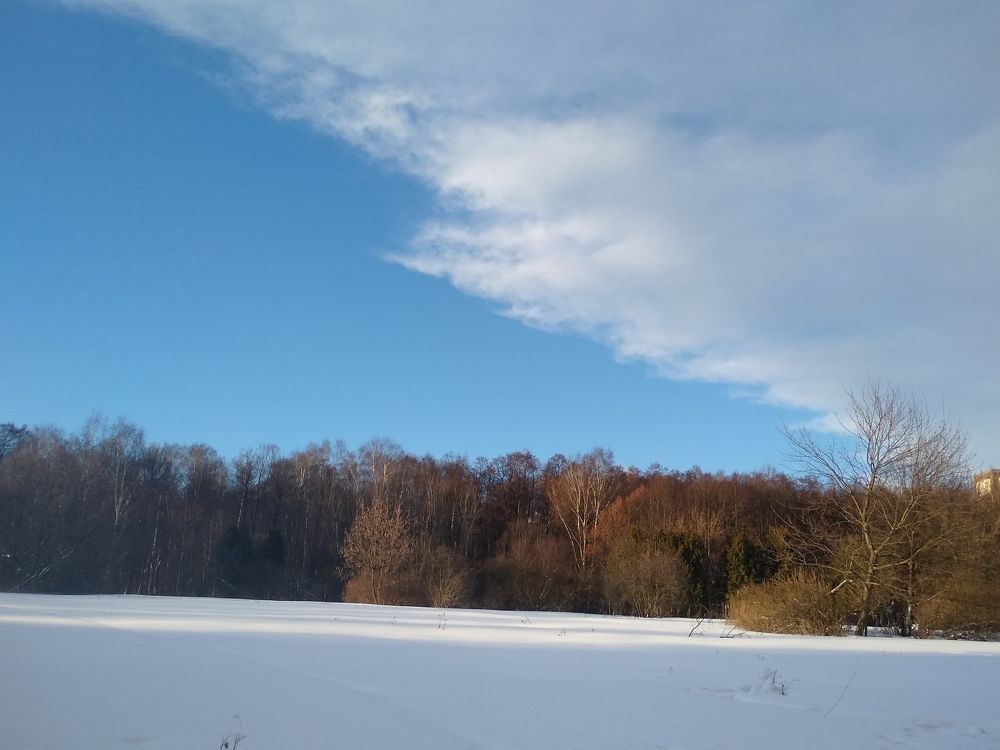 Фотография автора Елена Кобелева