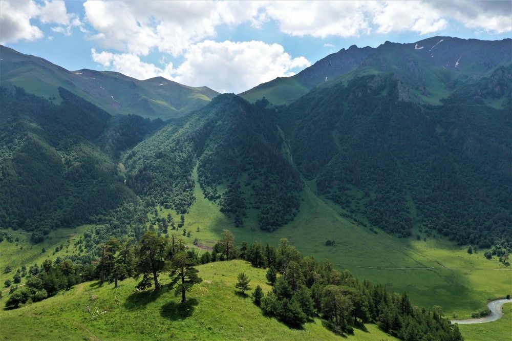 Photograph by Dmitriy Marchenko