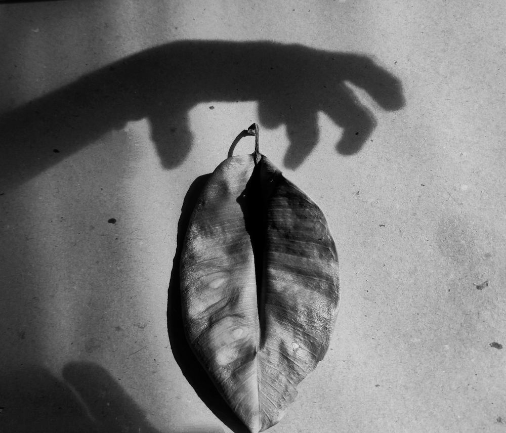 Photograph by Ирина Саттарова