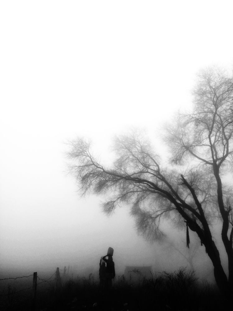 Photo #5957666