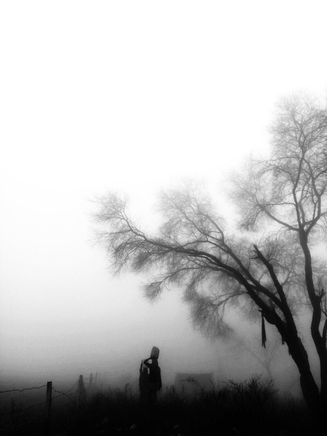 Photo #5957666