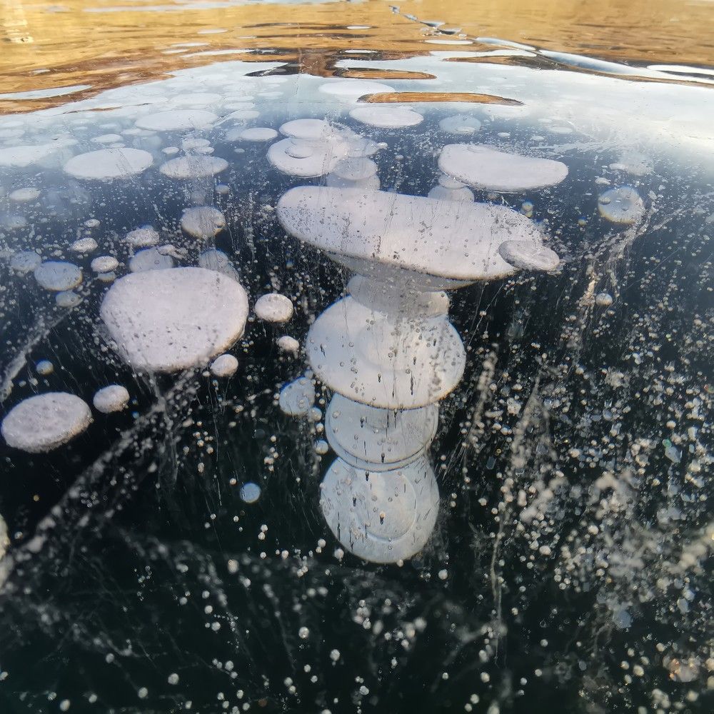 Метановые пузыри. Байкал