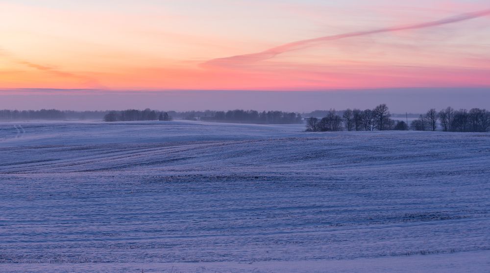 Photograph by Eriks Zilbalodis