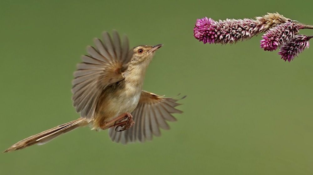 Photograph by Kan Chung Wong