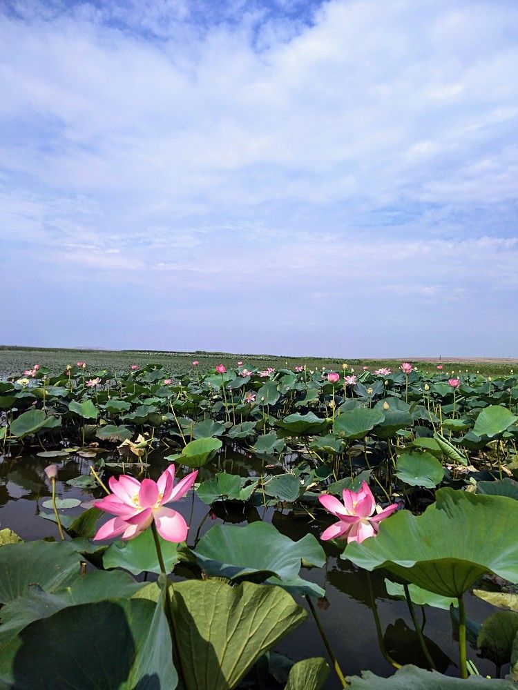 Photograph by Светлана Замятина