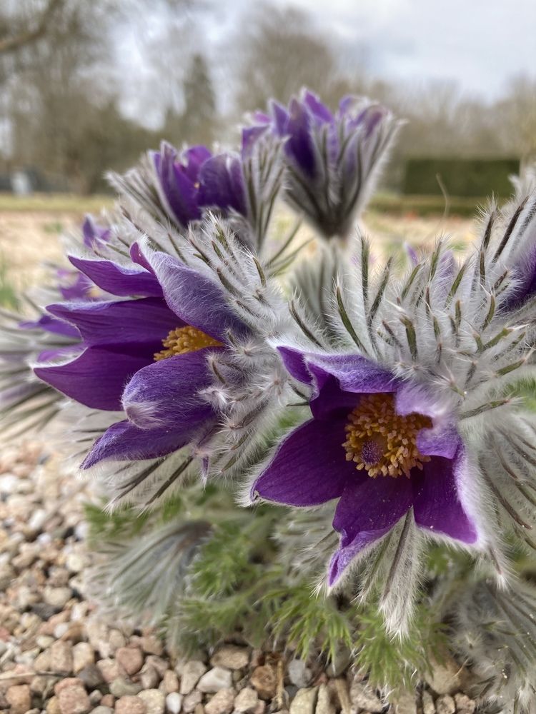 Photograph by Лена Гобена