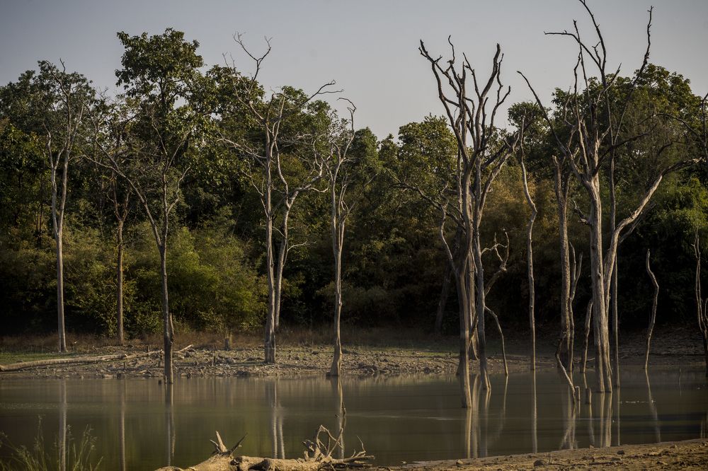 Photograph by Rajendra Makharia