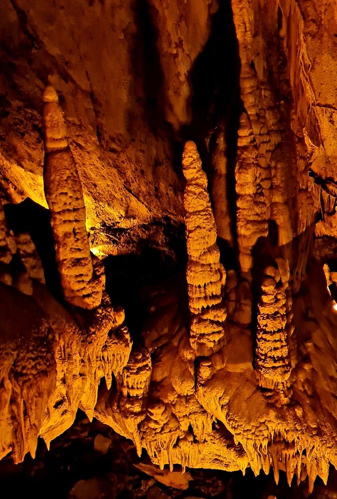 Ассоциации