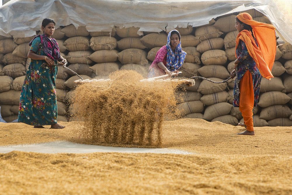People of Rice Husking Mill