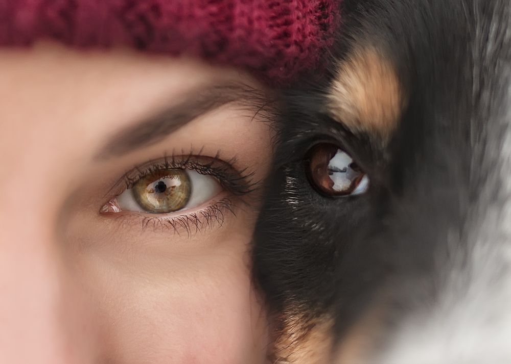 Photograph by Ольга Овчинникова