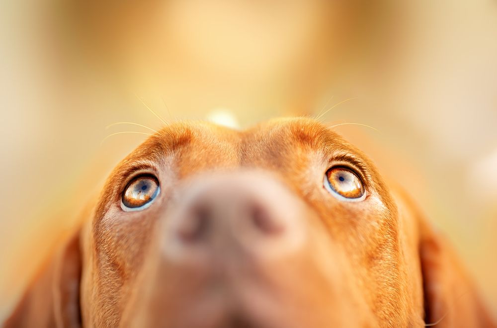 Photograph by Ольга Овчинникова