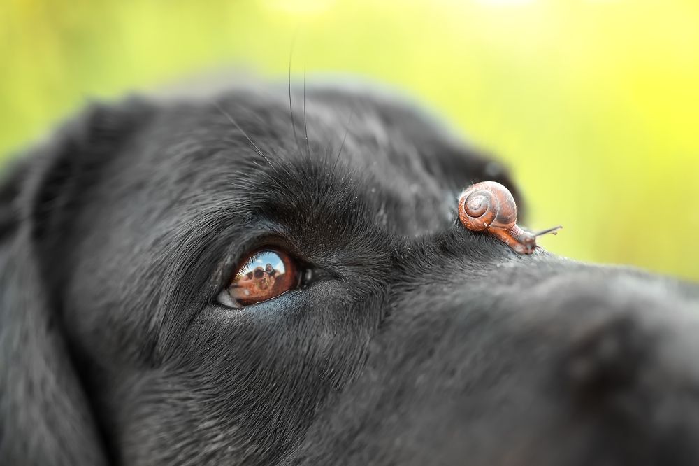 Photograph by Ольга Овчинникова