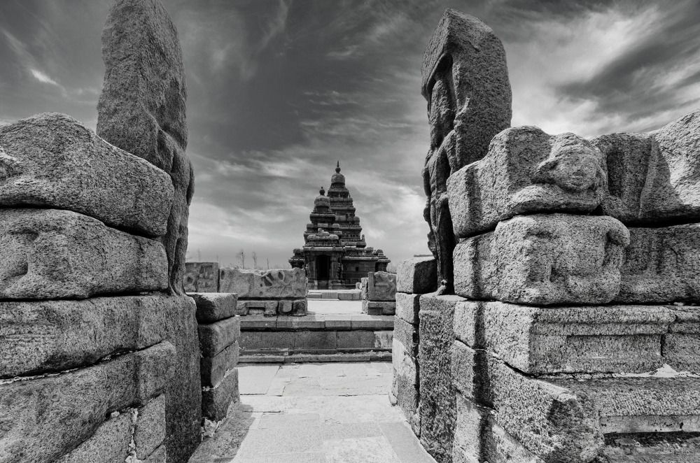 Photograph by Vivek Prasad