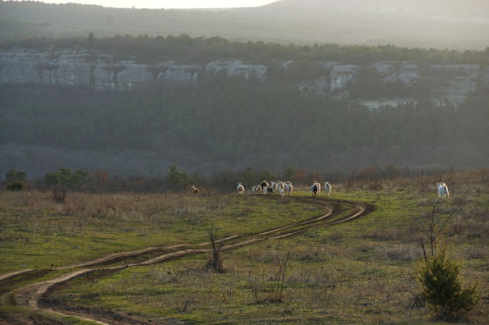 Photograph by света хлевненко