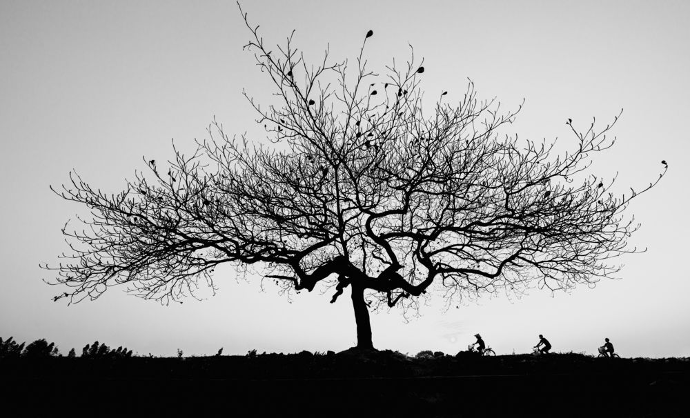 Photograph by Dương Nguyễn