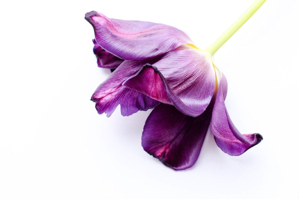 Photograph by Екатерина Романова