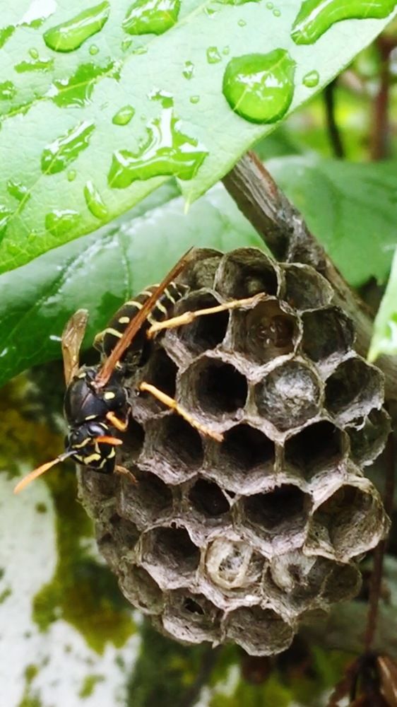 Photograph by Ольга Демашова