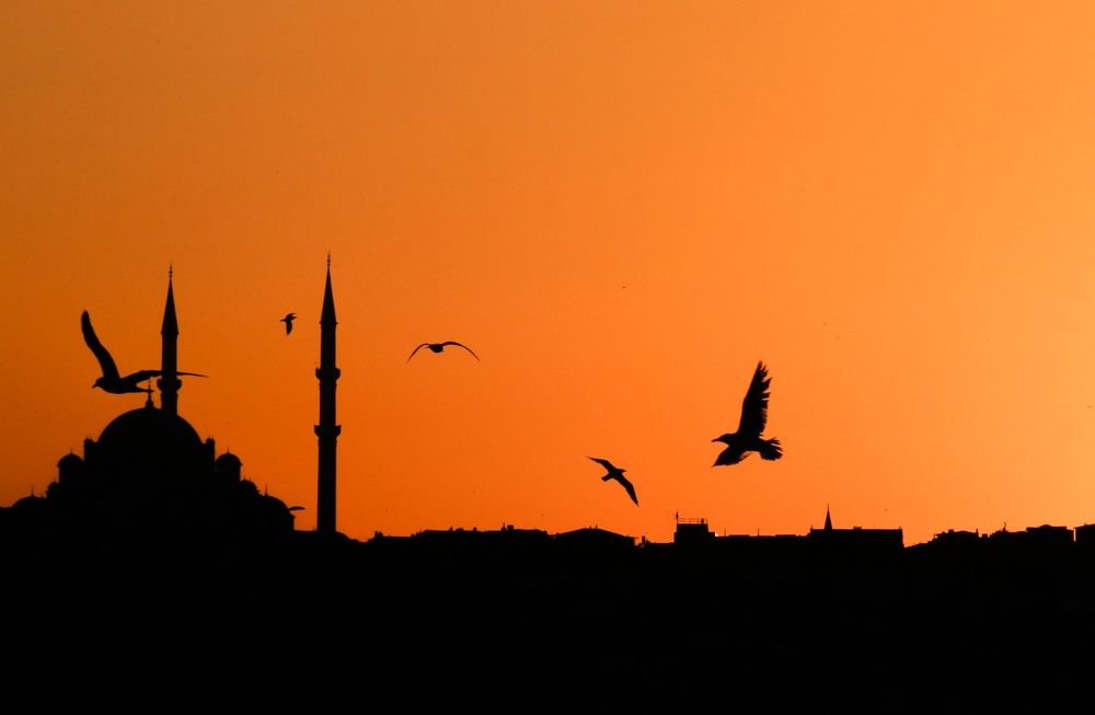 Photograph by Алексей Оборин