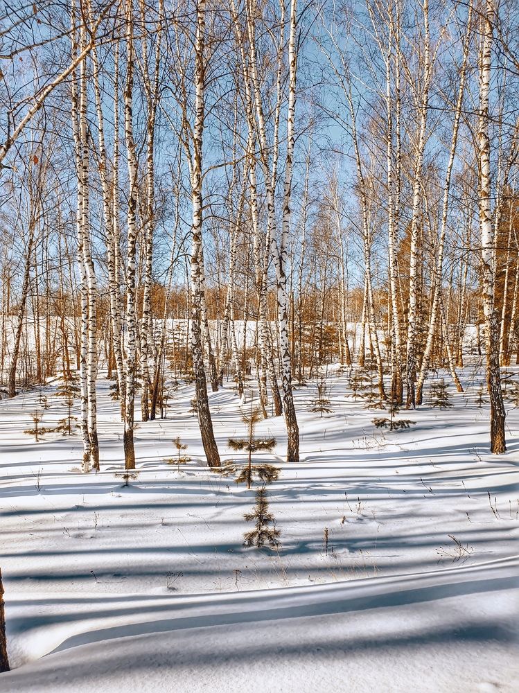 Фотография автора Evgeniy Smersh