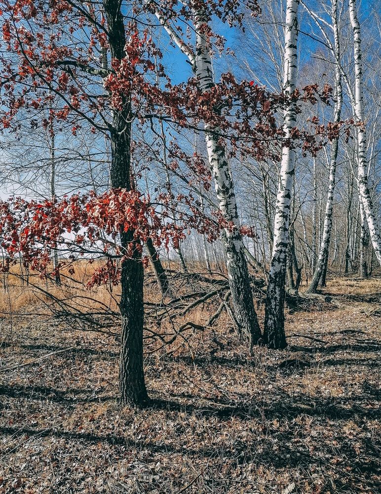 Фотография автора Evgeniy Smersh