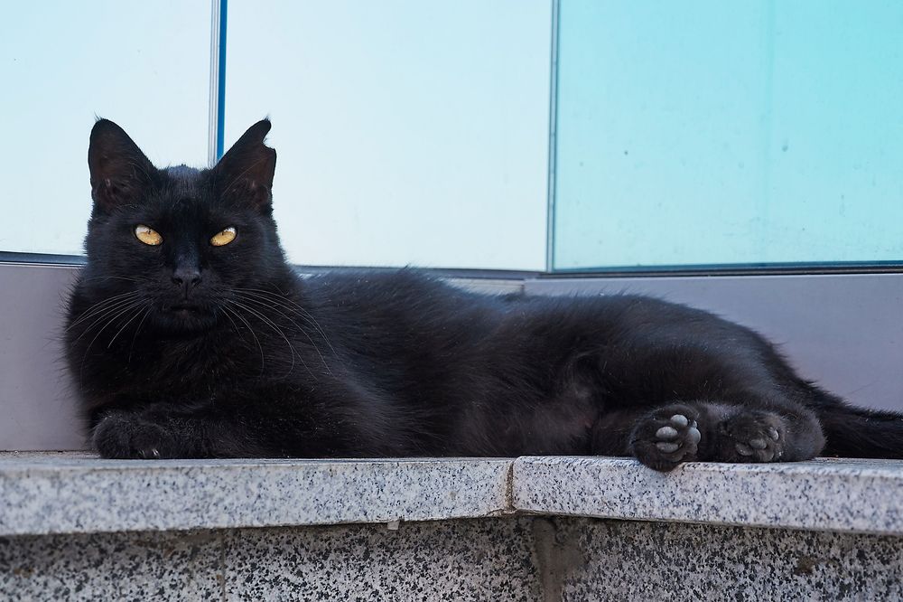 Photograph by Владимир Малевич