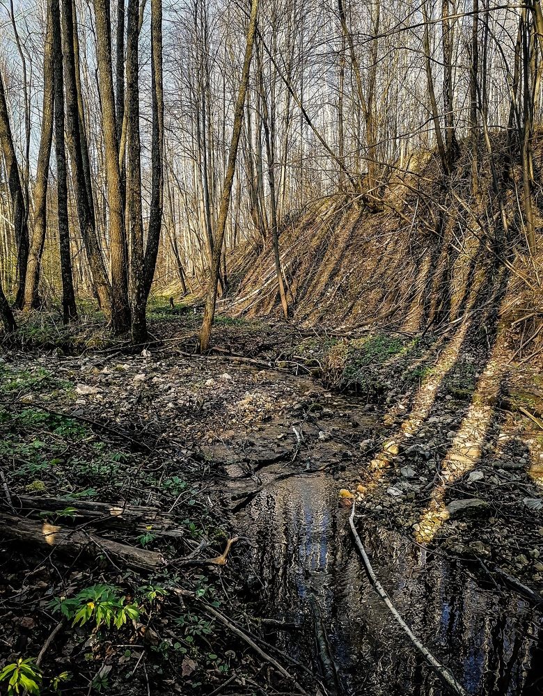 Фотография автора Evgeniy Smersh