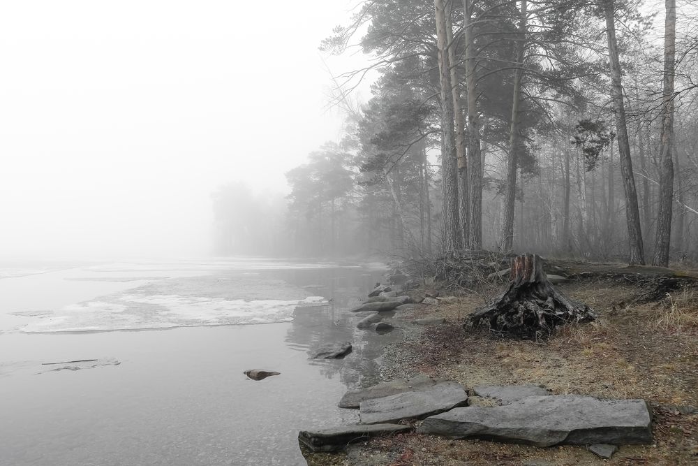 -Этюд в серых тонах...