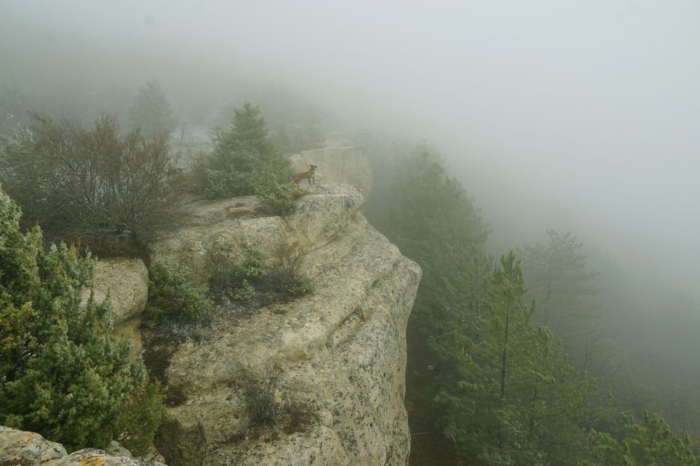 Photograph by света хлевненко