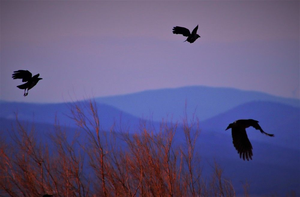 Photograph by Βασιλης Χρηστος Καρασουλας