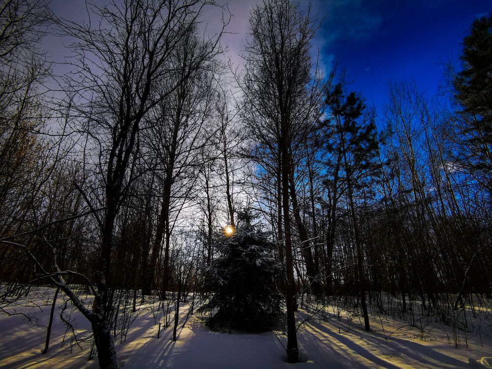 Photograph by Valentina