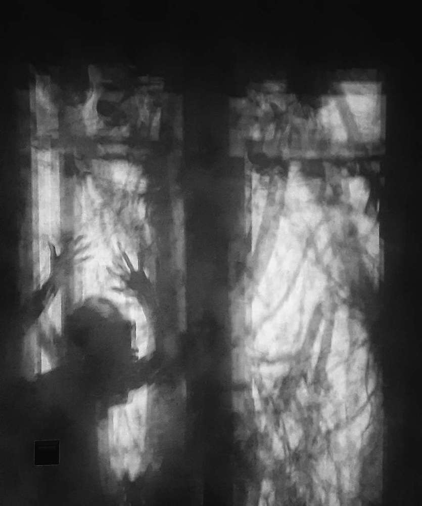 Photograph by Anastasia Ermokhina