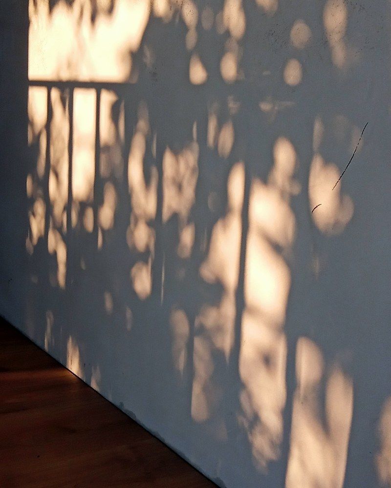 Фотография автора Jenny María Quirós Jiménez