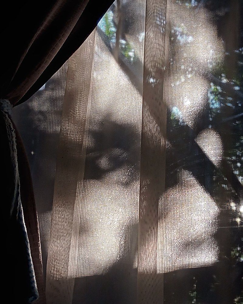 Фотография автора Jenny María Quirós Jiménez