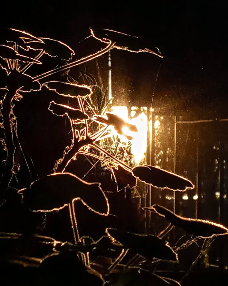 Фотография автора Jenny María Quirós Jiménez