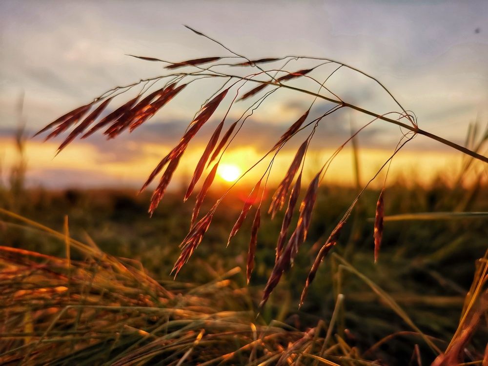 Photograph by Владимир Прорешный