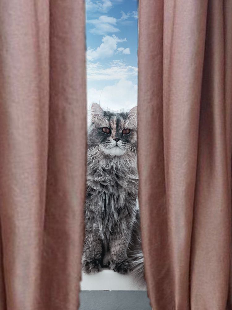 Photograph by Евгения Хавва