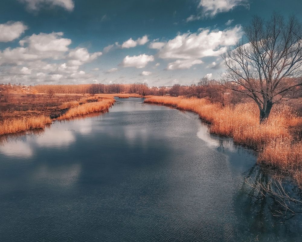 Photograph by Александр