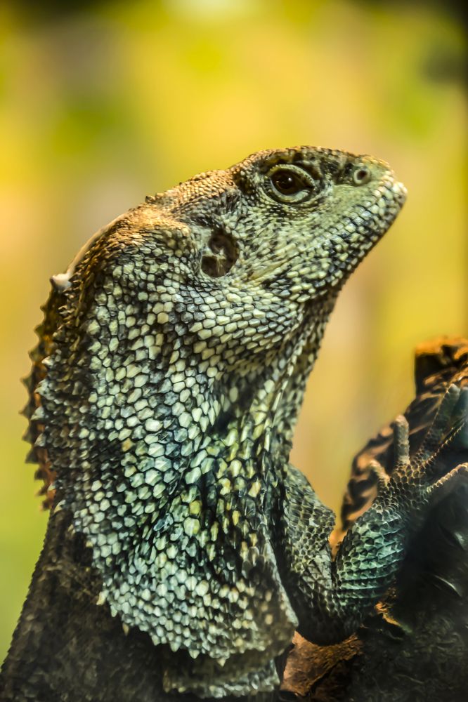 Photograph by Наталья Егорова