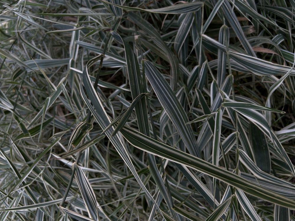 Photograph by Светлана