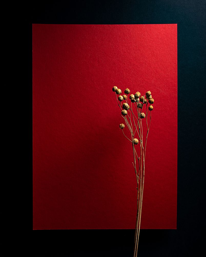 Фотография автора Дмитрий Антонов